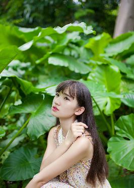 欧美电影免费观看完整版在线观看熊出没